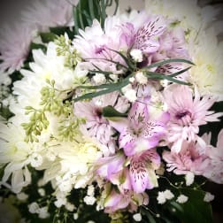 Bouquet of pink and white flowers with small white filler blooms