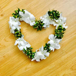 Orchid and Song of India Lei