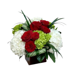 Hydrangea and Red Roses in a glass cube