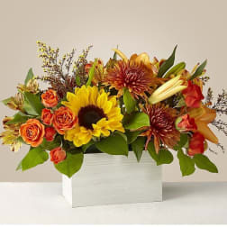 Mixed bouquet of sunflowers, orange roses, and lilies in a white box