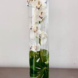 cymbidium orchid in a tall cylinder vase