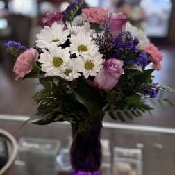 Daisy Delight