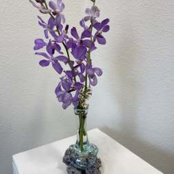 Ocean Orchids