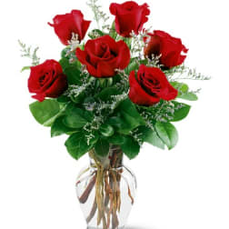 Red roses arranged in a clear glass vase