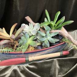 Succulent Planter
