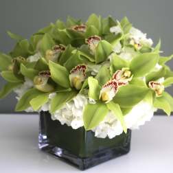 Green Orchids in a vase/26