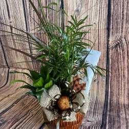 Autumn Glow Dish Garden
