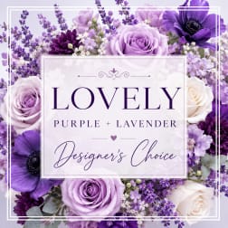 Lovely Lavender