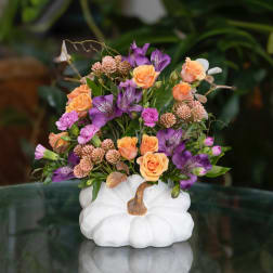 Orange and purple flower arrangement in a white pumpkin vase