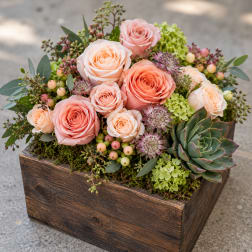 Pink and peach roses in a wooden box with succulents