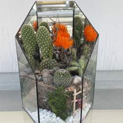 Santa Fe Cactus Garden