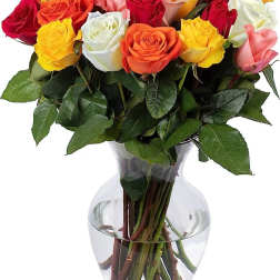 Mix Color Roses In Vase 24 Stems