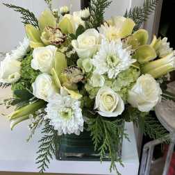 Christmas White