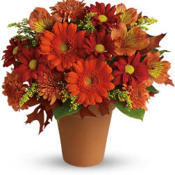 Orange and red mixed flower arrangement in a brown pot