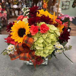 Harvest Blooms (HBS)