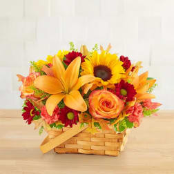 Fields Of Europe Basket