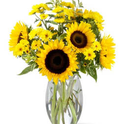 Sunflower and yellow daisy bouquet in a clear glass vase