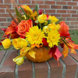 Autumn floral arrangement in a pumpkin container with yellow and orange blooms