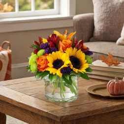 Colorfall