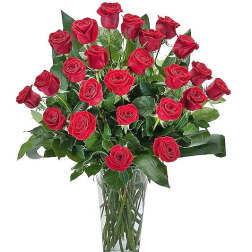 Two Dozen Premium Long Stem Roses