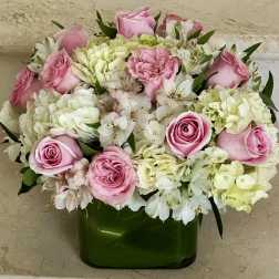 Blushing Beauty