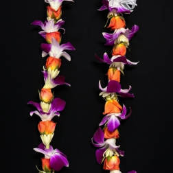 A floral lei made of orange, purple, and white blossoms on a black background