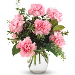 Pink carnations arranged in a clear glass vase