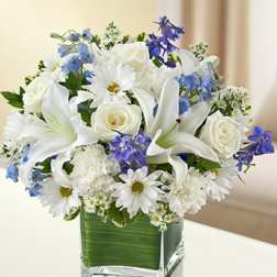Healing Tears - Blue and White