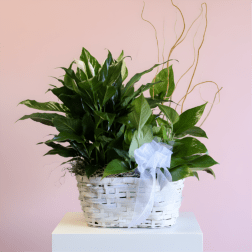 Tribute Garden Basket