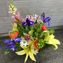 Designers Choice Spring