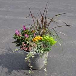 Outdoor planter with pink and yellow flowers, ornamental grass, and trailing ivy in a gray pot
