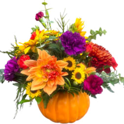 Mixed bouquet in an orange pumpkin container with bright yellow, orange, red, and purple flowers