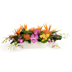 Tropical flower arrangement in a white rectangular vase with orange and pink blooms