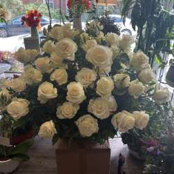Large bouquet of cream roses arranged in a box