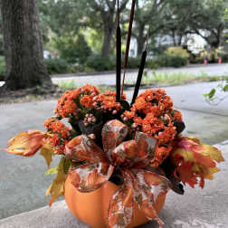 Orange flowers arranged in a pumpkin-shaped container with a fall ribbon