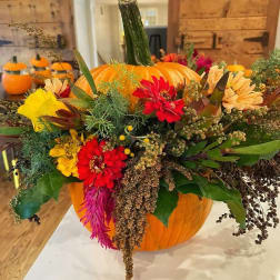 Fall Harvest pumpkin