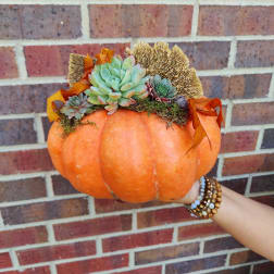 Pumpkin decorated with succulents and autumn leaves