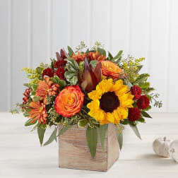 Harvest Glow Bouquet