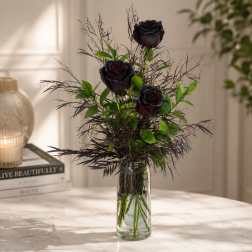 Enchanted Black Rose Vase