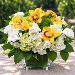 Yellow orchids and white hydrangeas in a glass vase