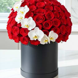 Fresh Red Roses Box