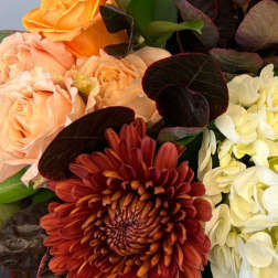 Close-up of peach roses, rust chrysanthemum, and white hydrangeas in a clustered arrangement