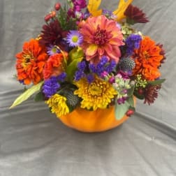 Mixed autumn bouquet in an orange pumpkin container