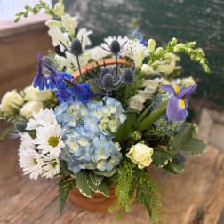 Mixed bouquet in a terracotta basket with blue hydrangea, white daisies, and purple iris