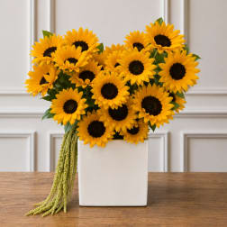Sunflower arrangement in a white square vase with trailing greenery