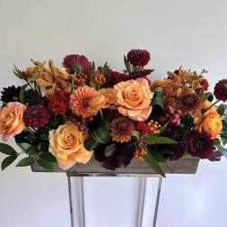 Autumn Highlight