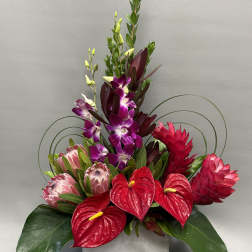 Tropical arrangement with red anthuriums, purple orchids, and pink protea in a square vase