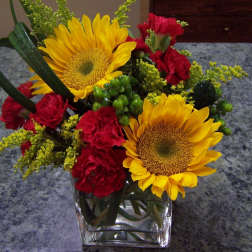 Sunflowers and red carnations in a square glass vase
