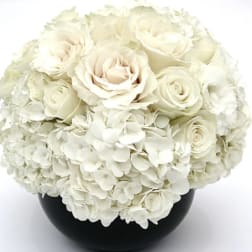 White roses and hydrangeas in a black vase