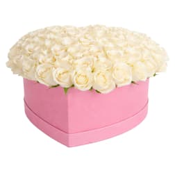 White roses arranged in a pink heart-shaped box